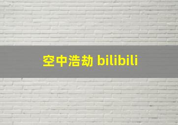 空中浩劫 bilibili